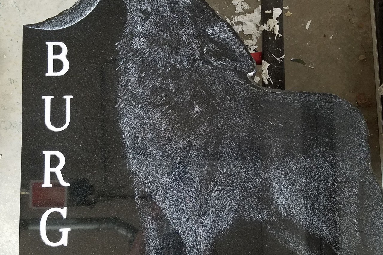 animal